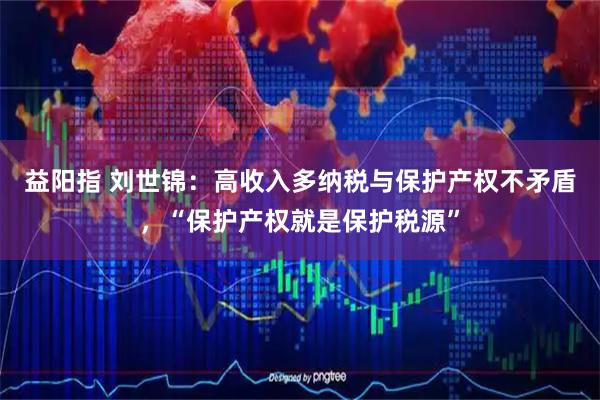 益阳指 刘世锦：高收入多纳税与保护产权不矛盾，“保护产权就是保护税源”