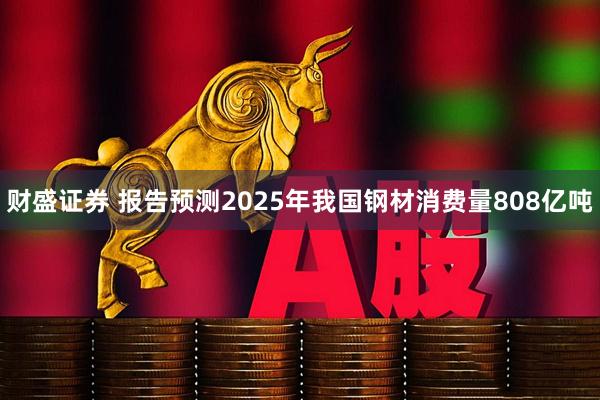 财盛证券 报告预测2025年我国钢材消费量808亿吨